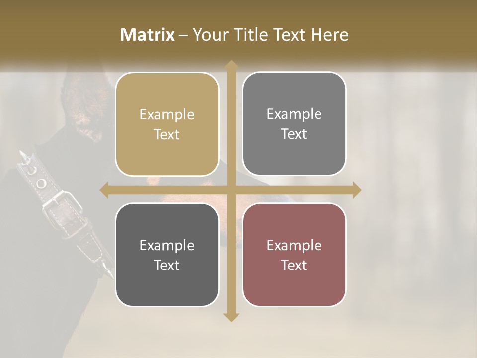 Architect Park Sale PowerPoint Template