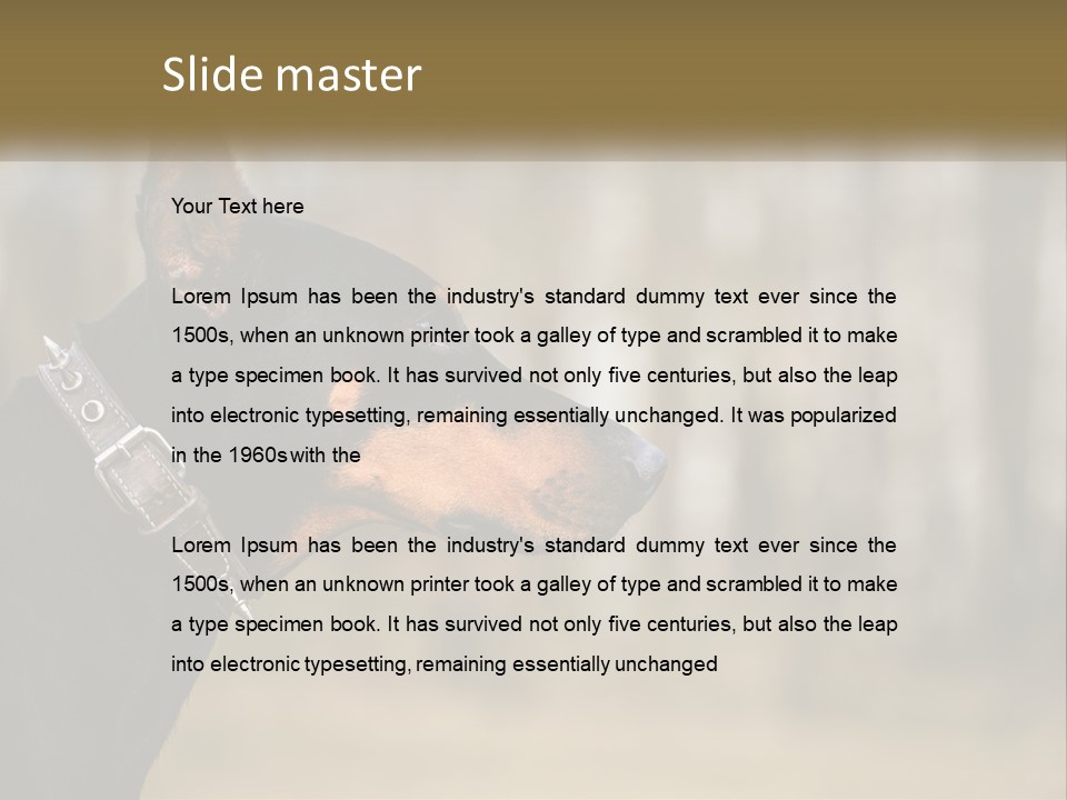 Architect Park Sale PowerPoint Template