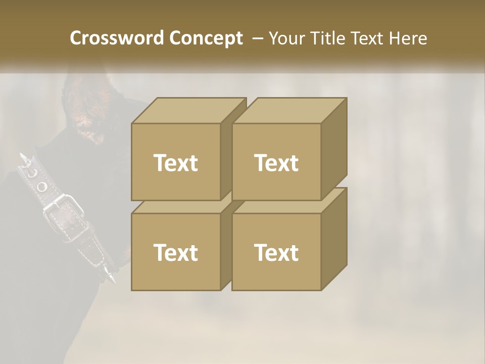 Architect Park Sale PowerPoint Template