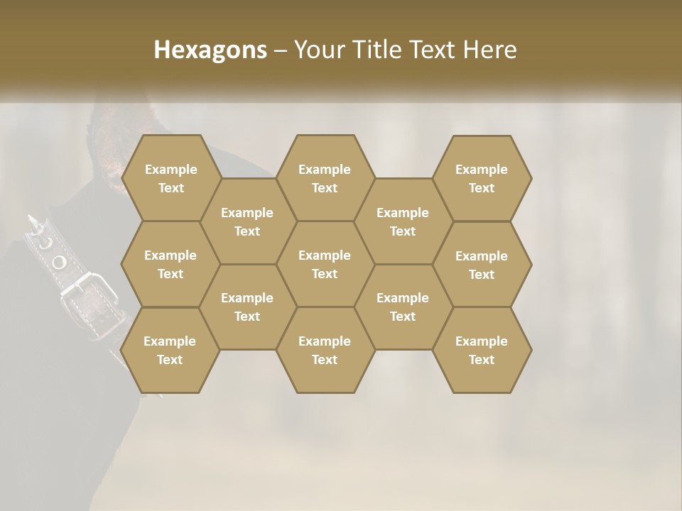 Architect Park Sale PowerPoint Template