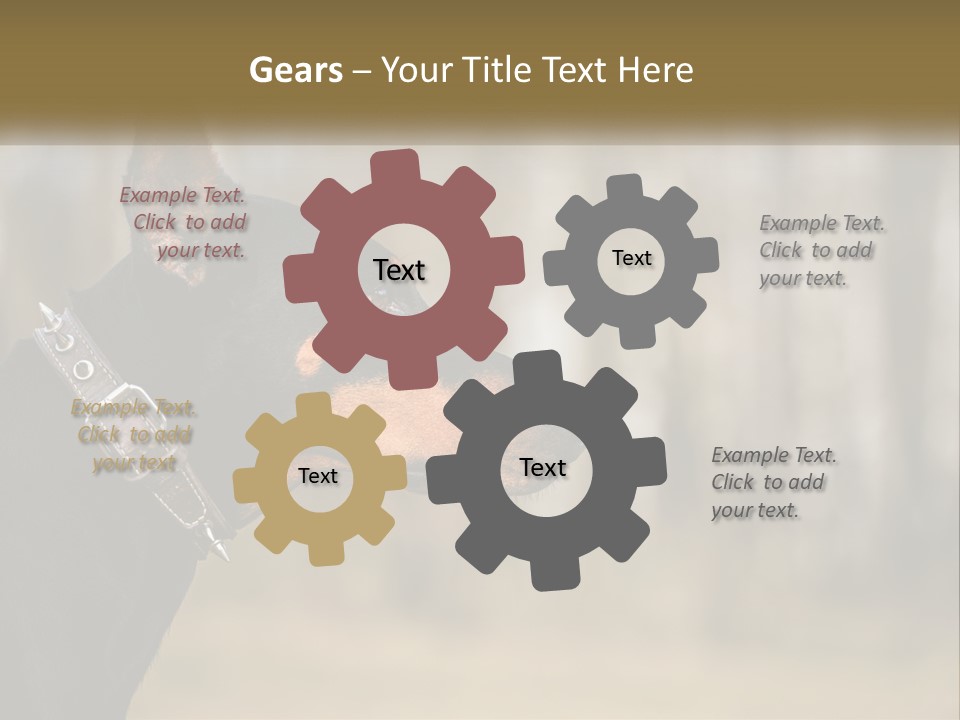 Architect Park Sale PowerPoint Template