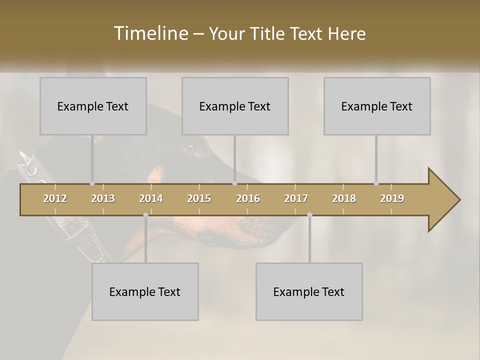 Architect Park Sale PowerPoint Template