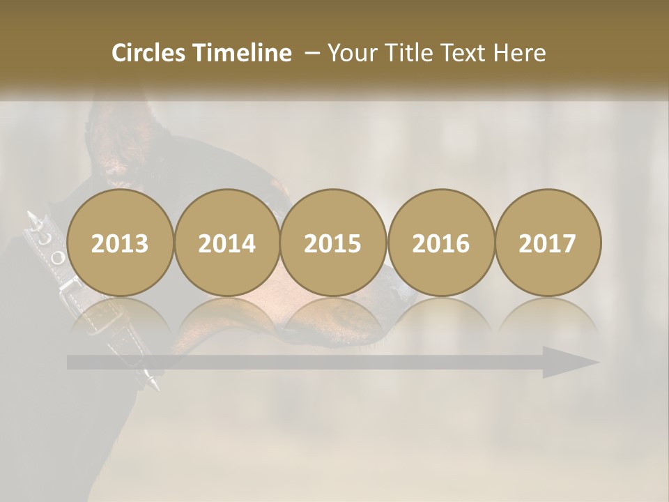 Architect Park Sale PowerPoint Template