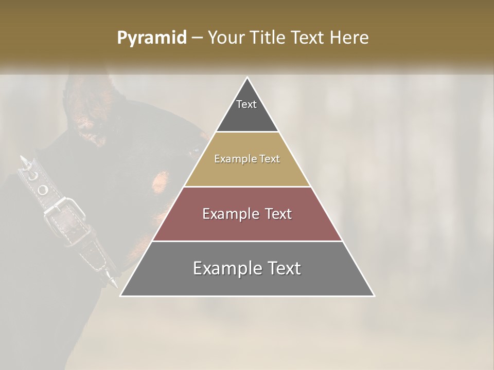 Architect Park Sale PowerPoint Template