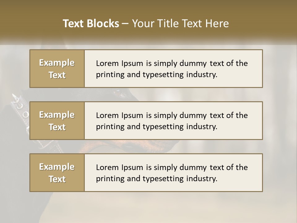 Architect Park Sale PowerPoint Template