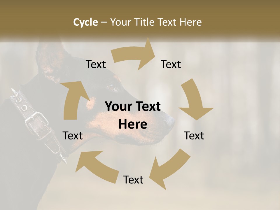 Architect Park Sale PowerPoint Template