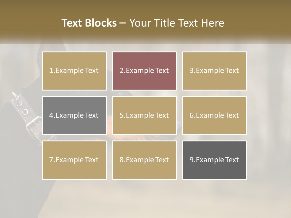 Architect Park Sale PowerPoint Template