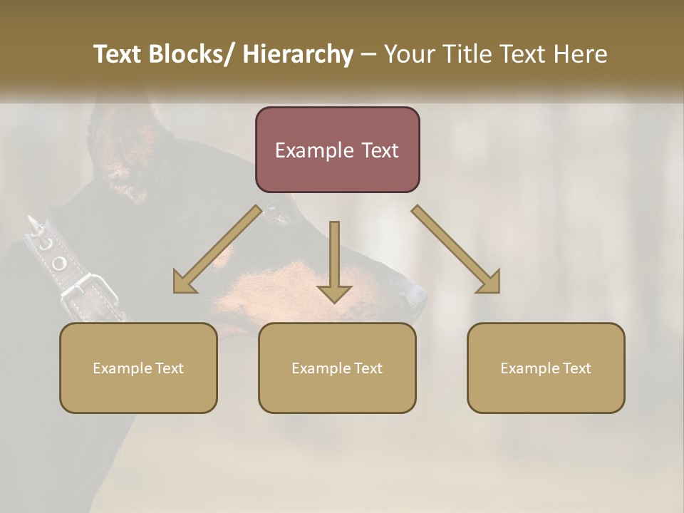 Architect Park Sale PowerPoint Template