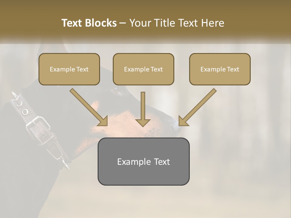 Architect Park Sale PowerPoint Template