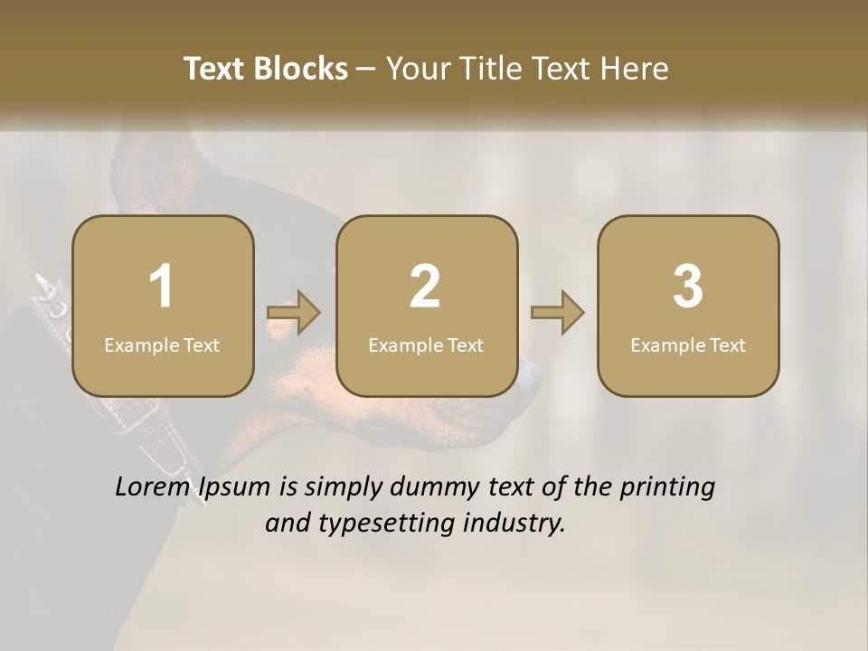 Architect Park Sale PowerPoint Template