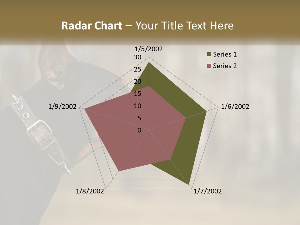 Architect Park Sale PowerPoint Template