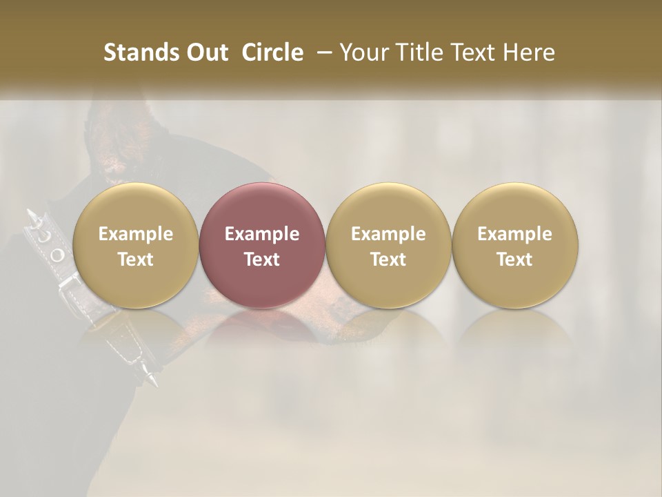 Architect Park Sale PowerPoint Template