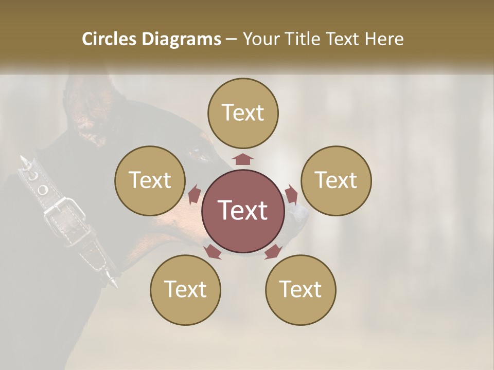 Architect Park Sale PowerPoint Template