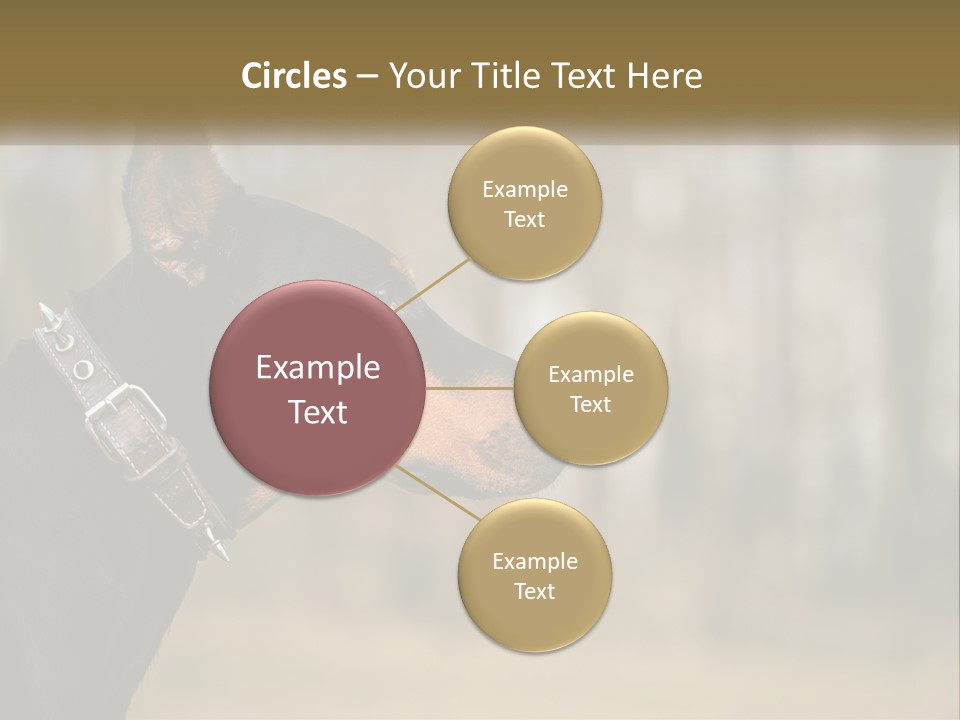 Architect Park Sale PowerPoint Template