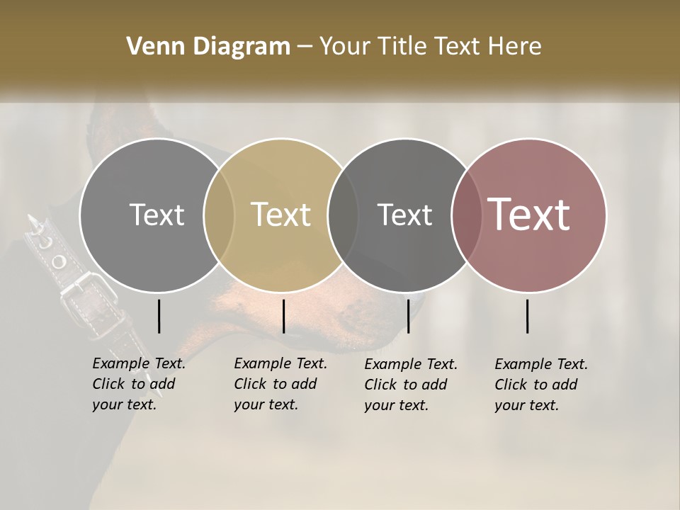 Architect Park Sale PowerPoint Template
