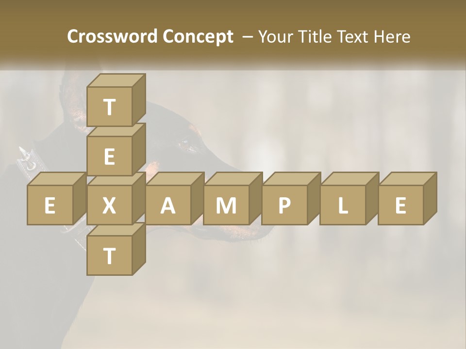 Architect Park Sale PowerPoint Template