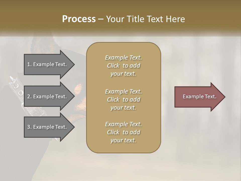 Architect Park Sale PowerPoint Template