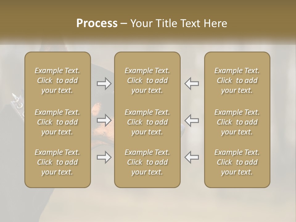 Architect Park Sale PowerPoint Template