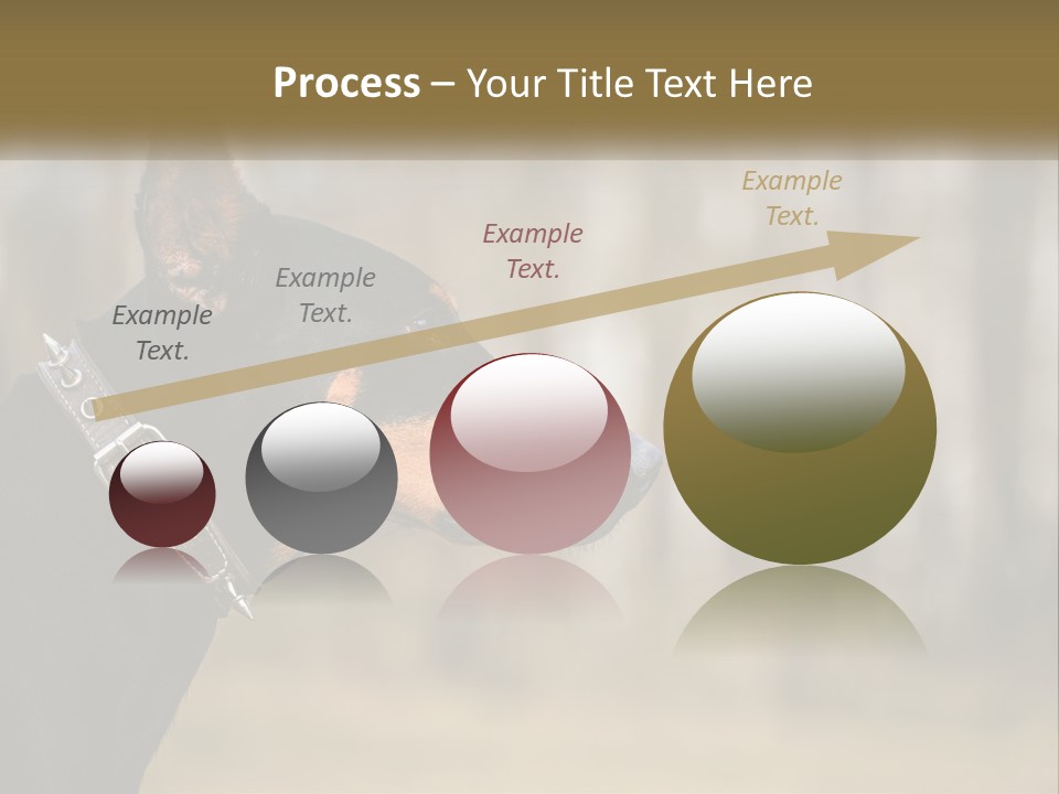 Architect Park Sale PowerPoint Template