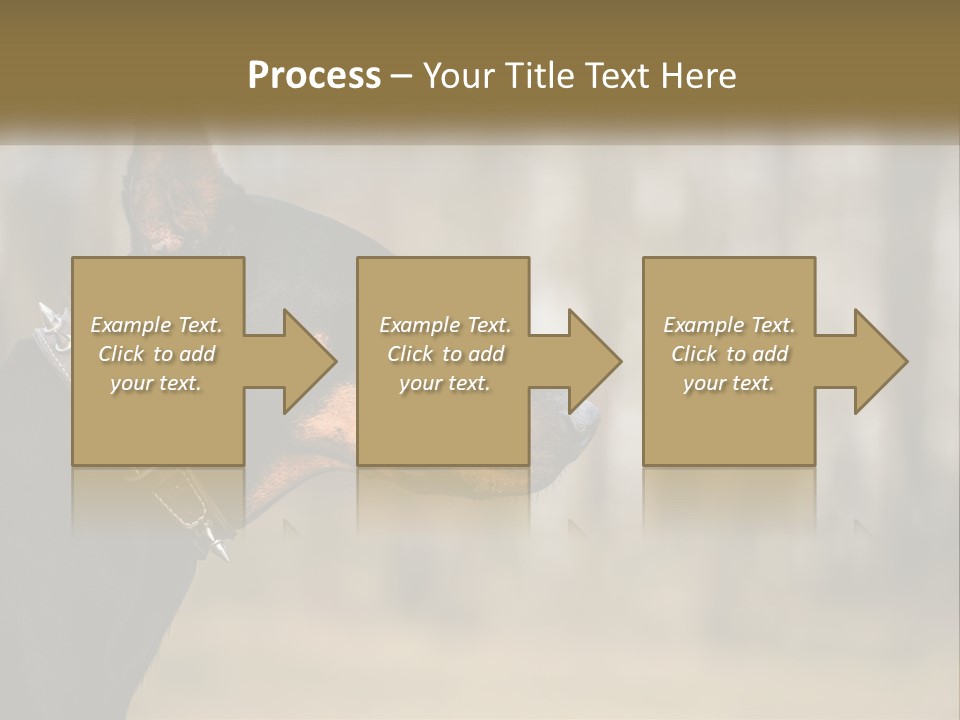 Architect Park Sale PowerPoint Template