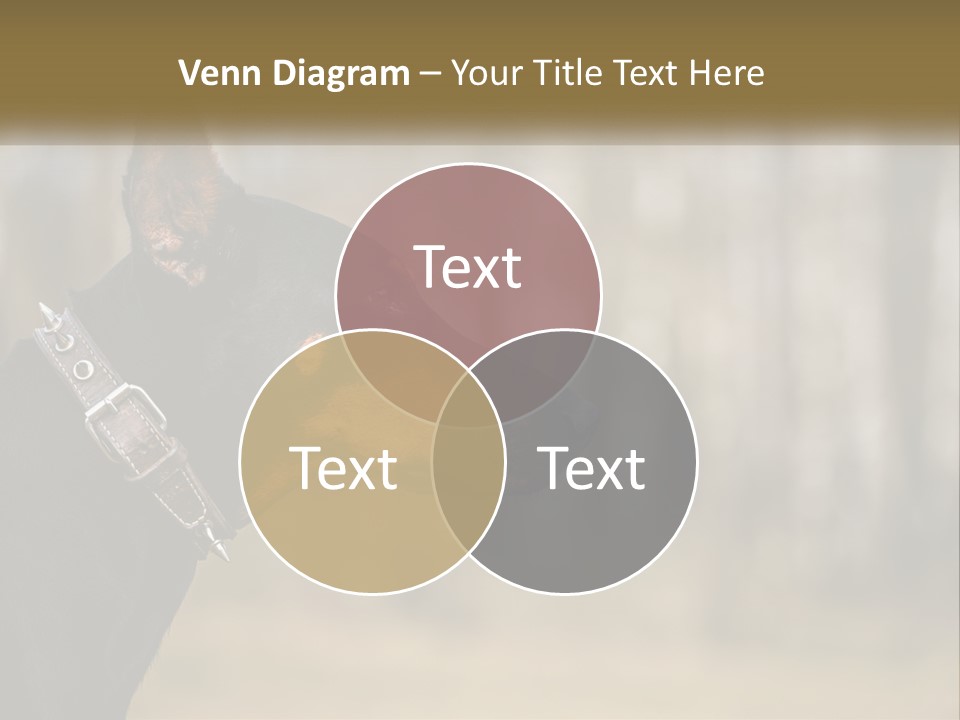 Architect Park Sale PowerPoint Template