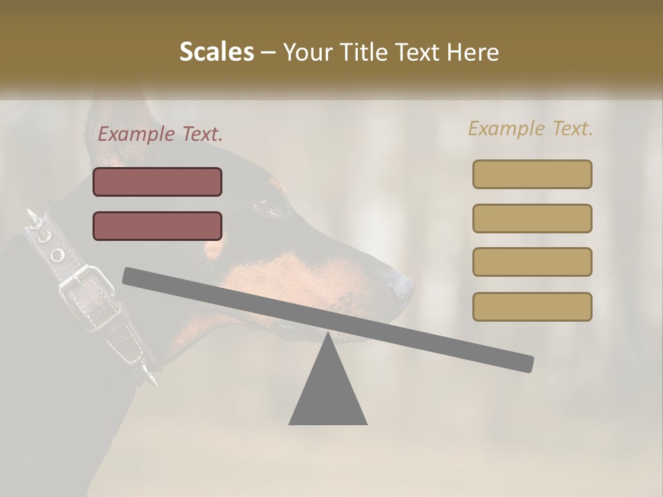 Architect Park Sale PowerPoint Template