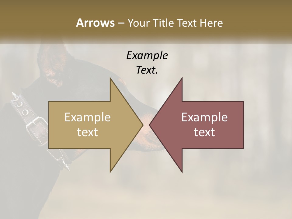 Architect Park Sale PowerPoint Template