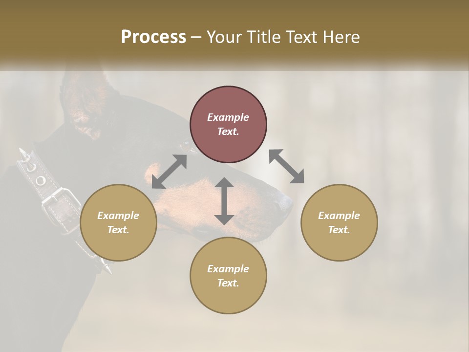 Architect Park Sale PowerPoint Template