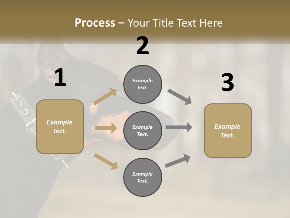 Architect Park Sale PowerPoint Template