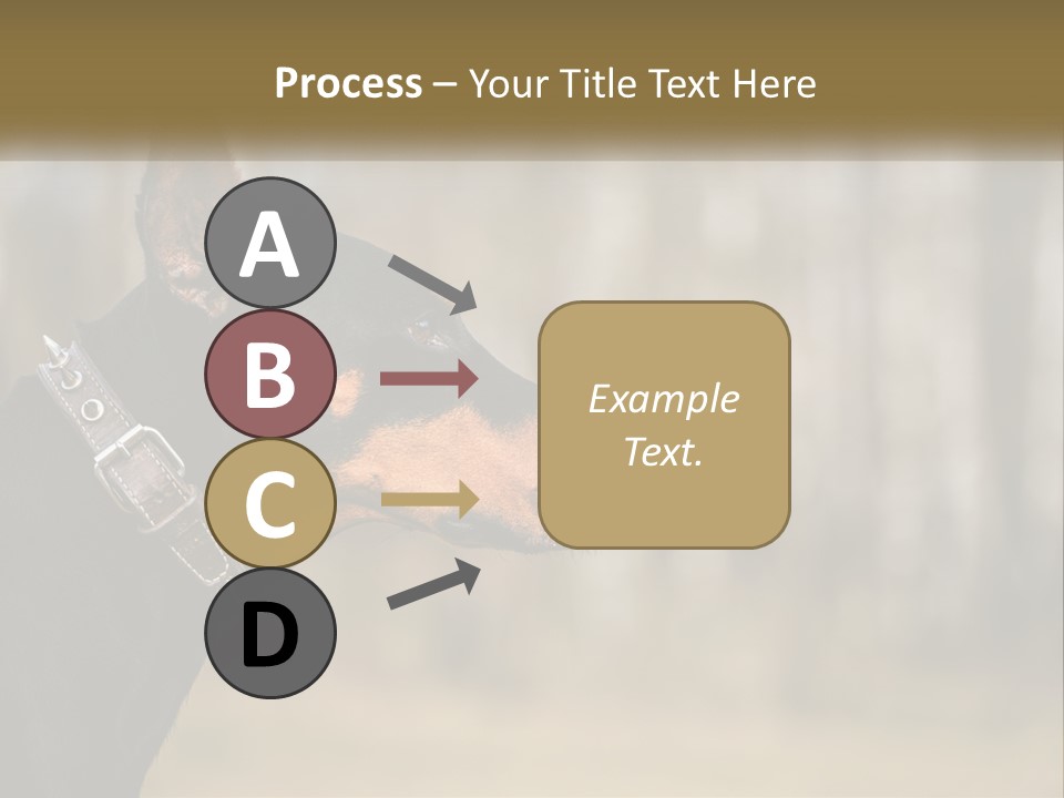 Architect Park Sale PowerPoint Template