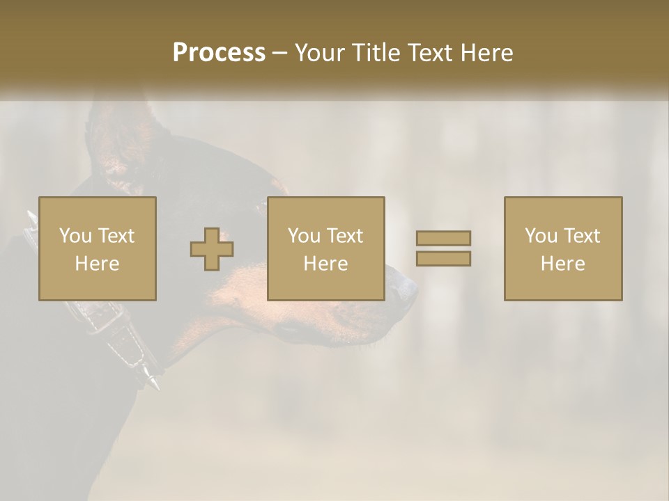 Architect Park Sale PowerPoint Template