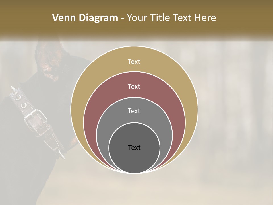 Architect Park Sale PowerPoint Template