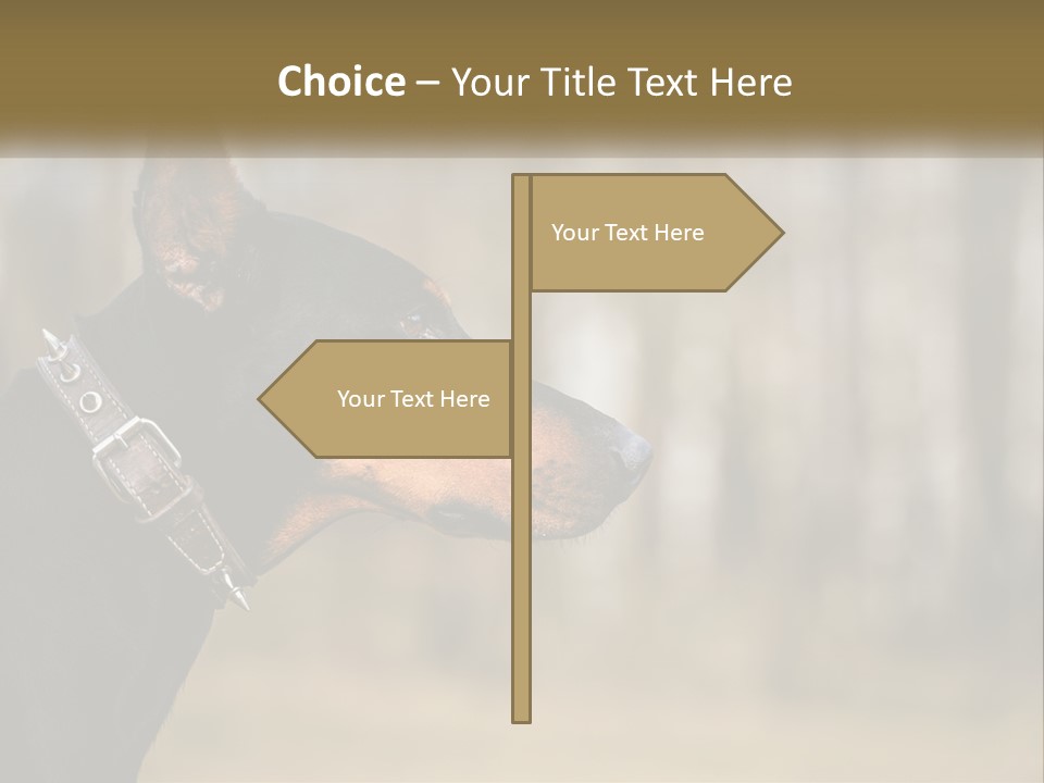 Architect Park Sale PowerPoint Template