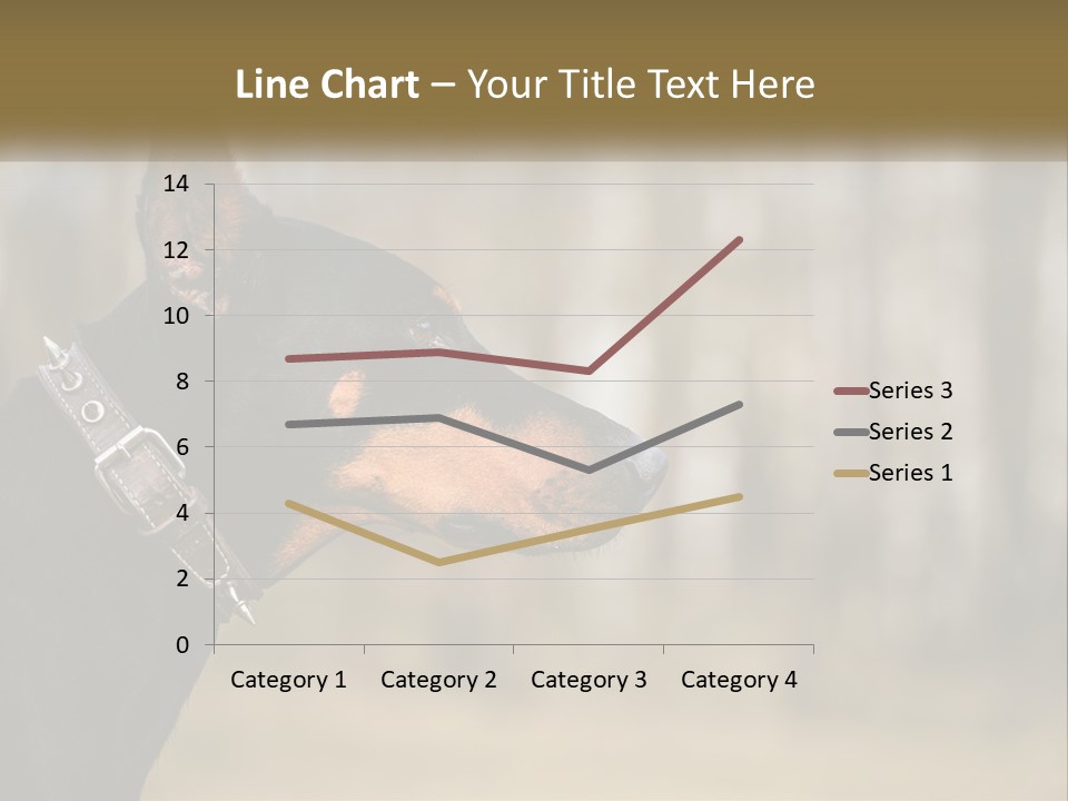 Architect Park Sale PowerPoint Template