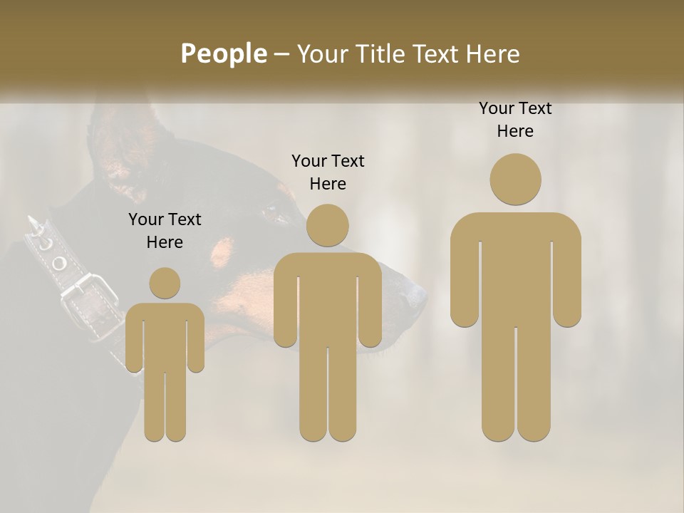 Architect Park Sale PowerPoint Template