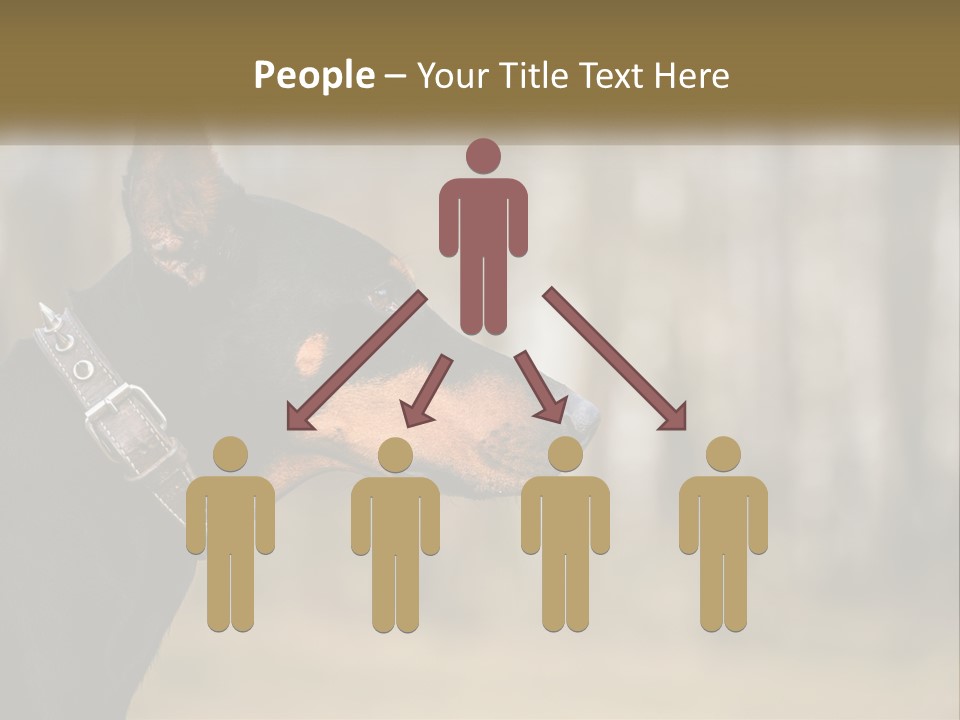 Architect Park Sale PowerPoint Template