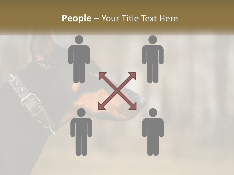 Architect Park Sale PowerPoint Template