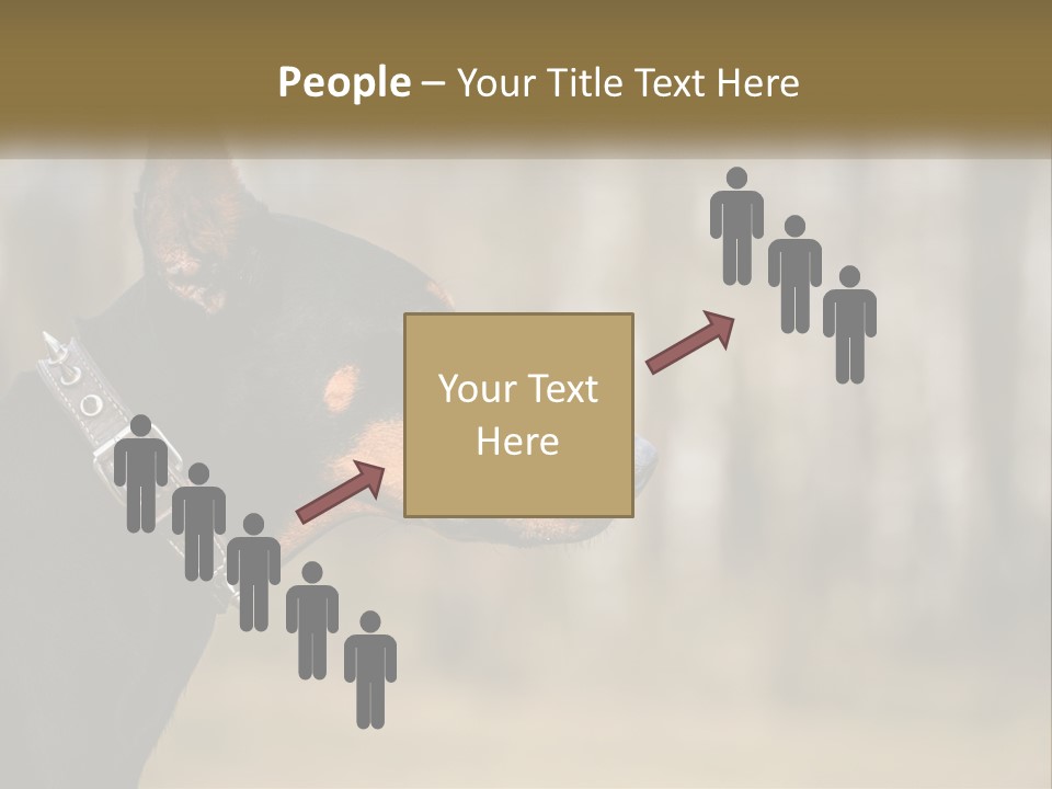 Architect Park Sale PowerPoint Template