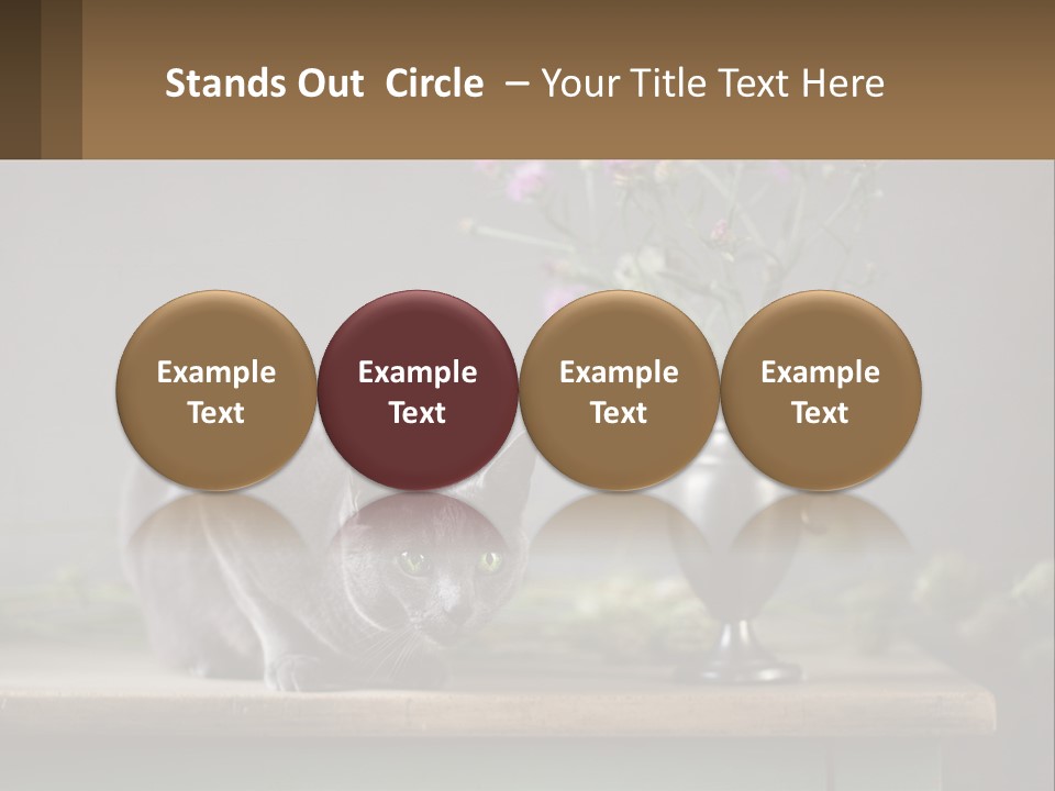 Ownership Structure Human Hand PowerPoint Template