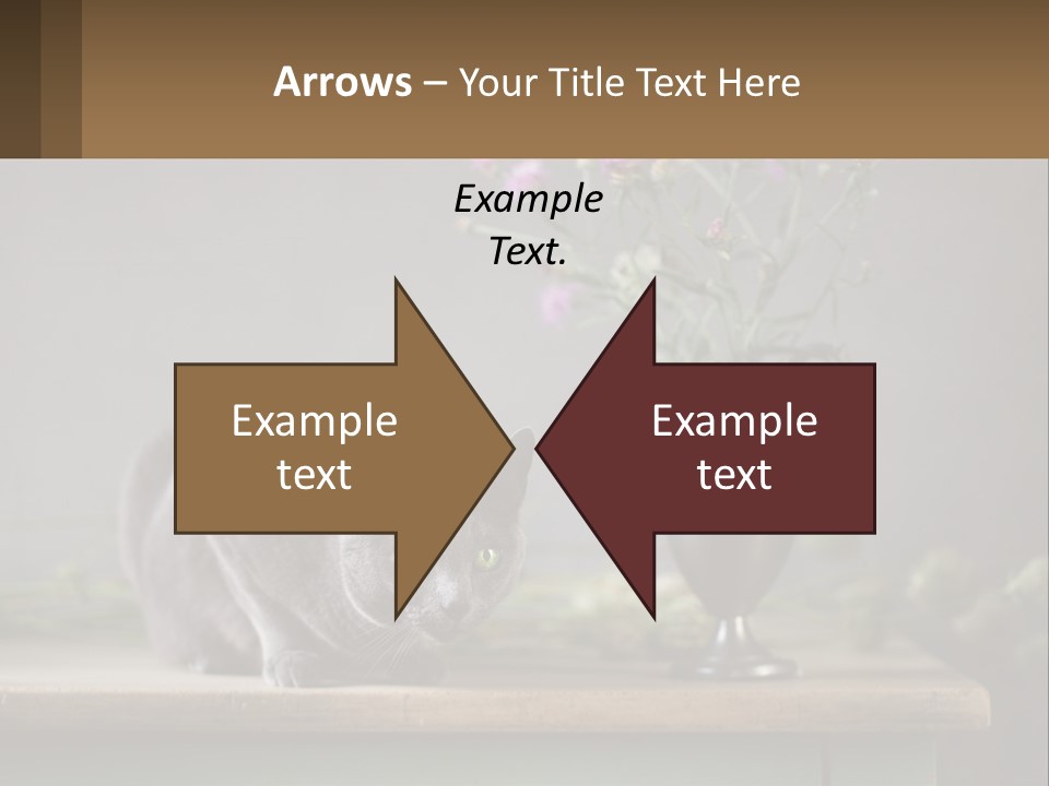 Ownership Structure Human Hand PowerPoint Template