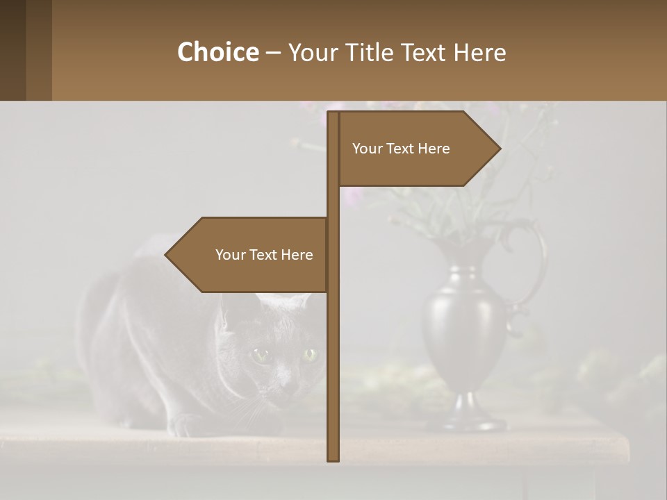 Ownership Structure Human Hand PowerPoint Template