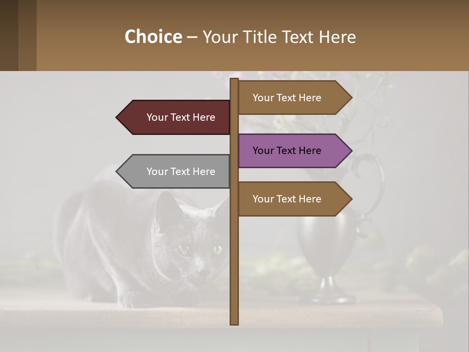 Ownership Structure Human Hand PowerPoint Template