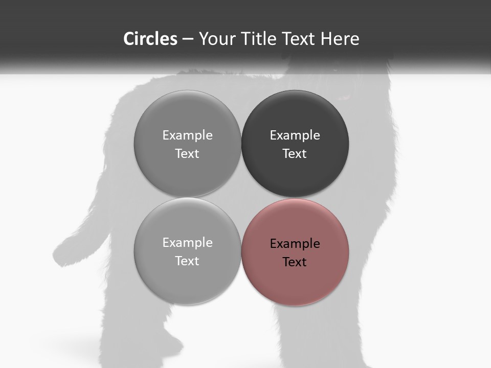 Ownership Loan Grass PowerPoint Template