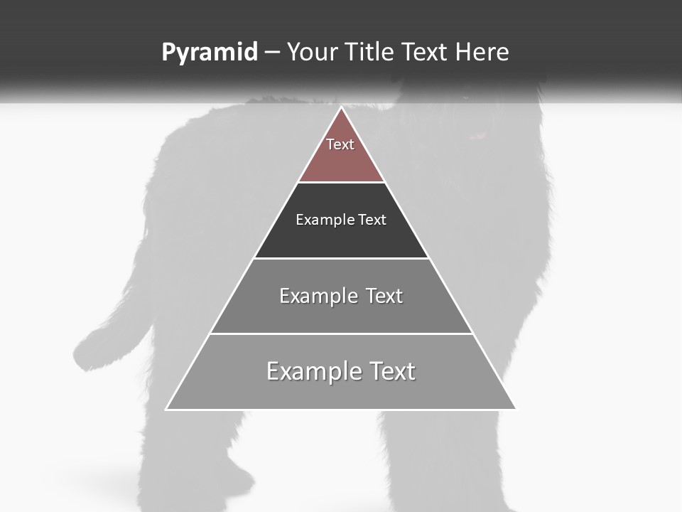 Ownership Loan Grass PowerPoint Template