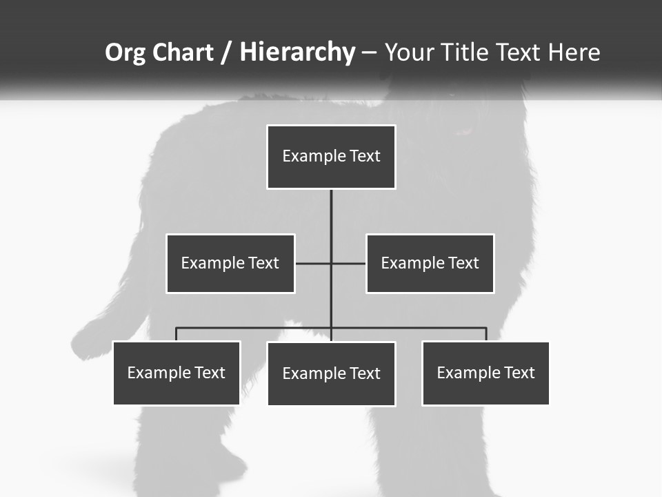 Ownership Loan Grass PowerPoint Template