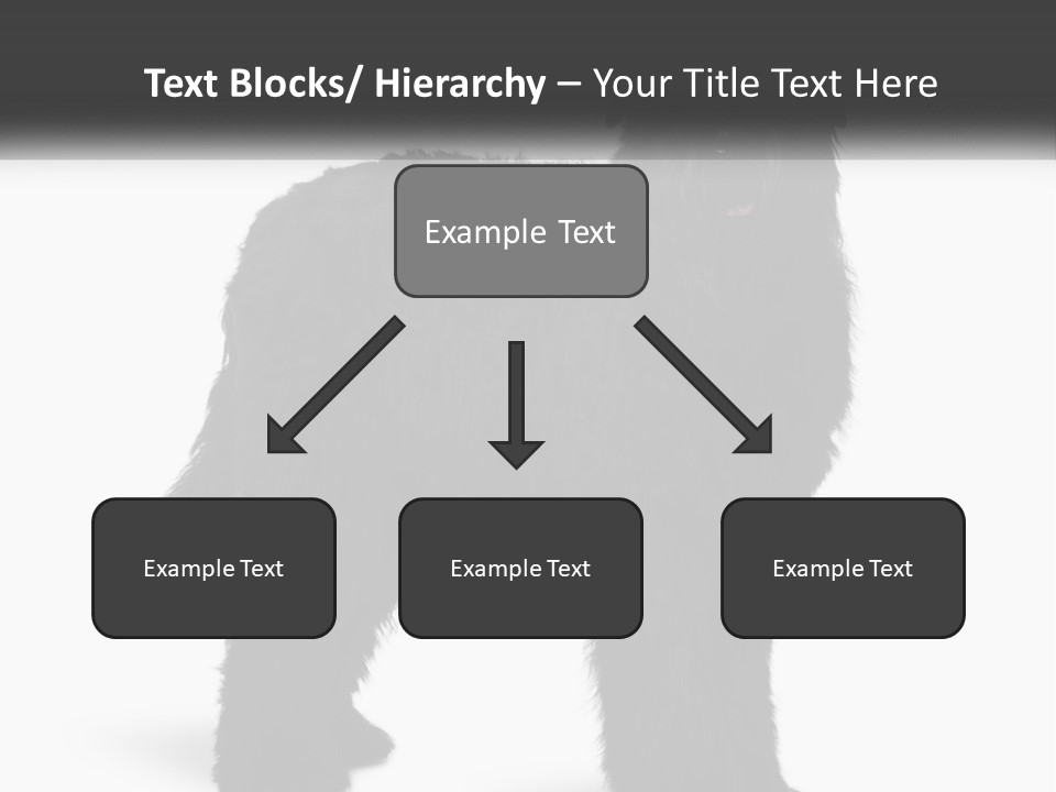 Ownership Loan Grass PowerPoint Template