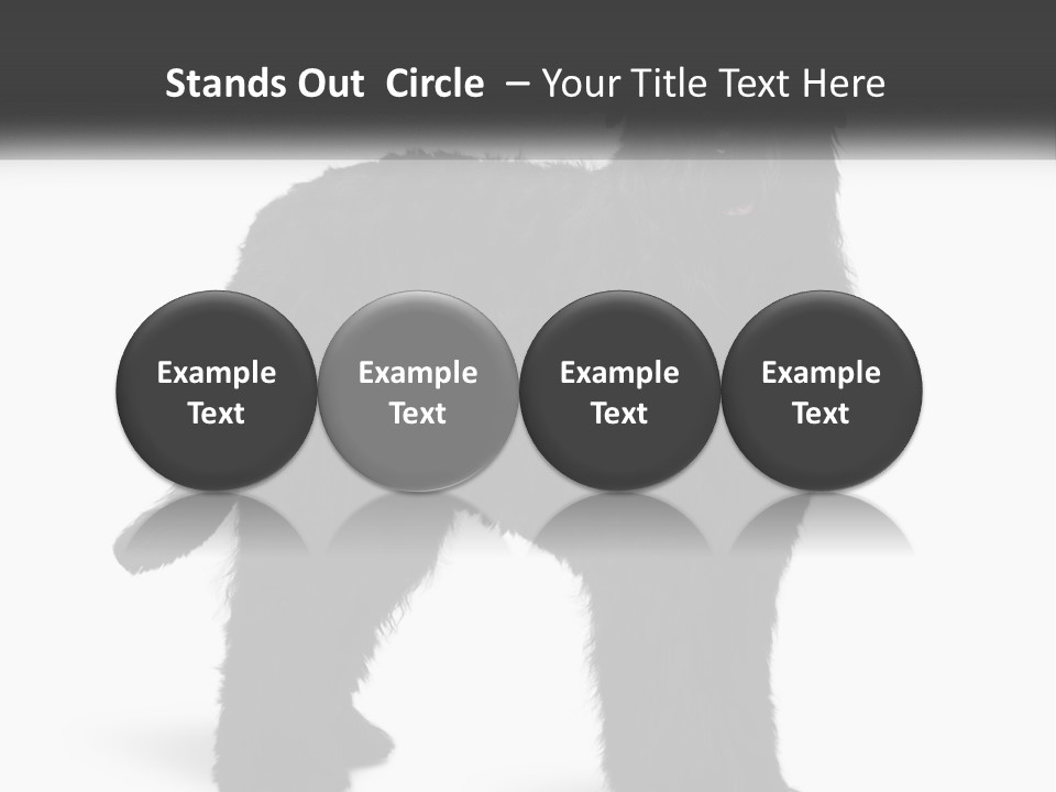 Ownership Loan Grass PowerPoint Template