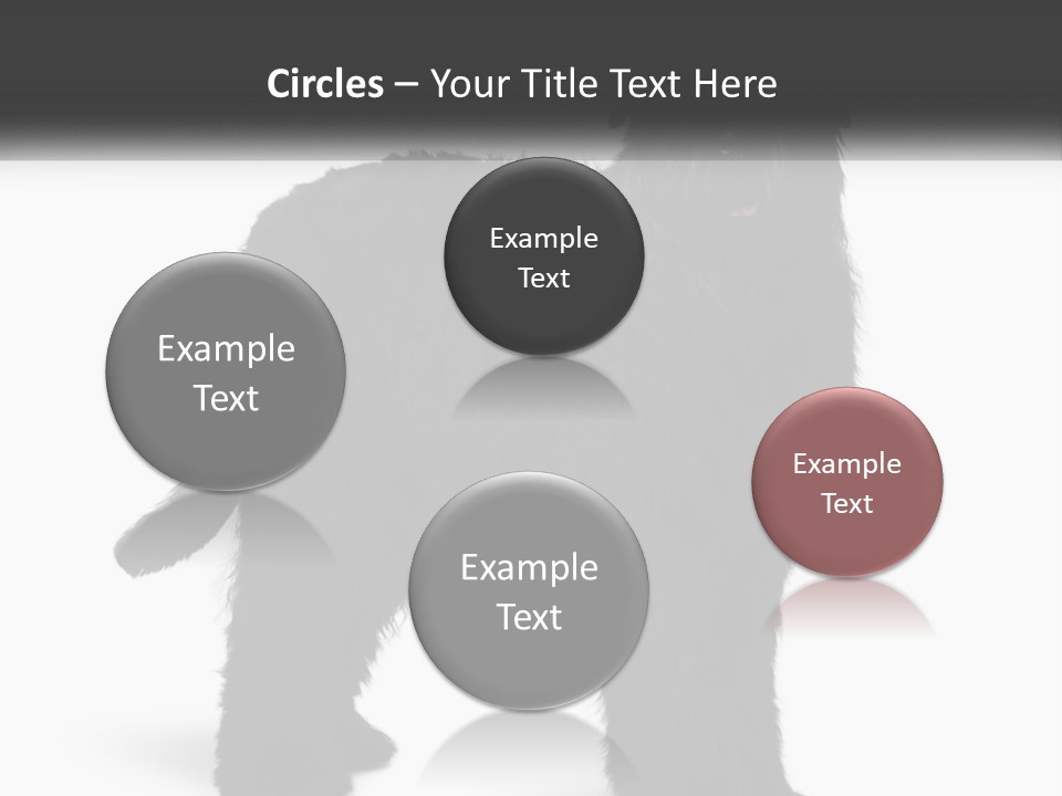 Ownership Loan Grass PowerPoint Template