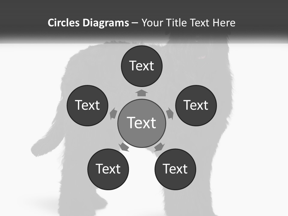 Ownership Loan Grass PowerPoint Template