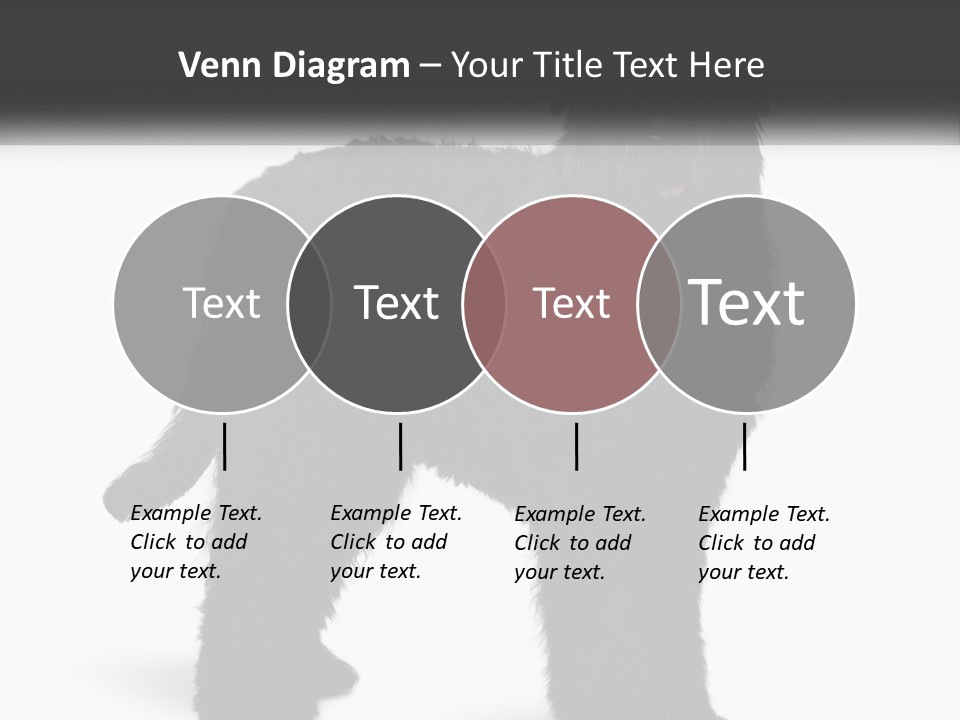 Ownership Loan Grass PowerPoint Template